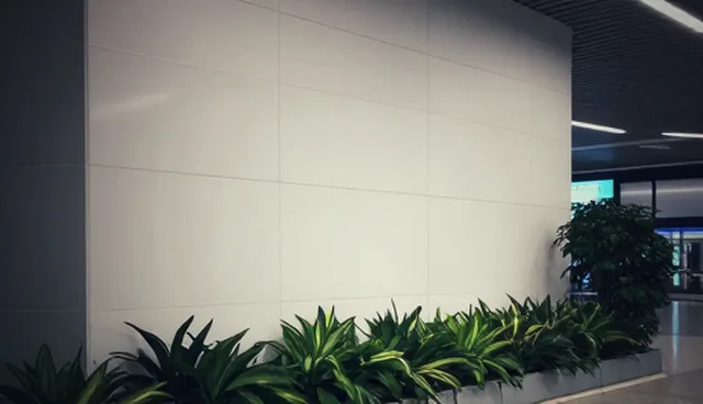 技术转让适用条件的常见误区与正确理解